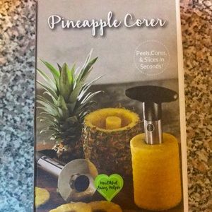 Pineapple 🍍 Corer